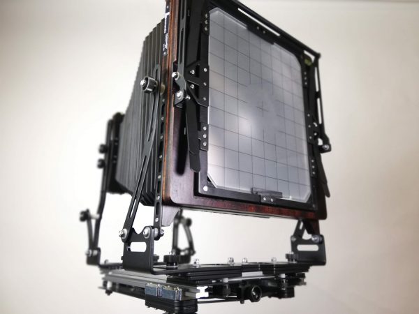 Leonardo 8x10 - Image 3